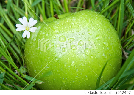 apple and a flower in the green grass 5052462