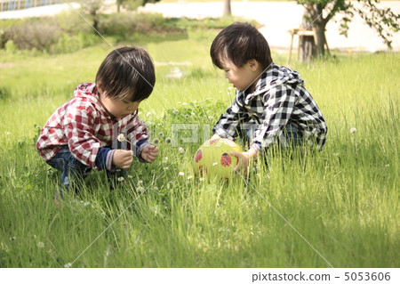 Twin flower picking 5053606