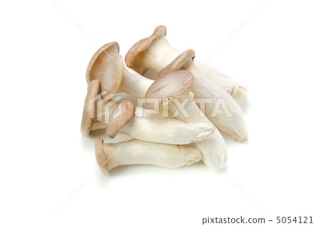 king oyster mushroom 5054121