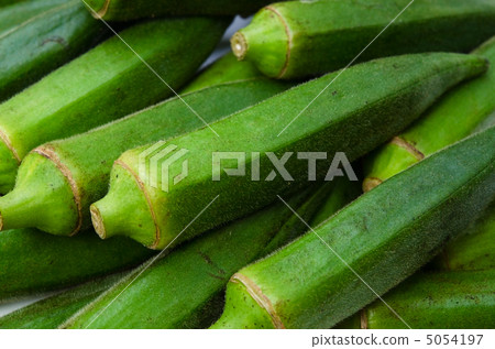 黃秋葵 黃秋葵 5054197