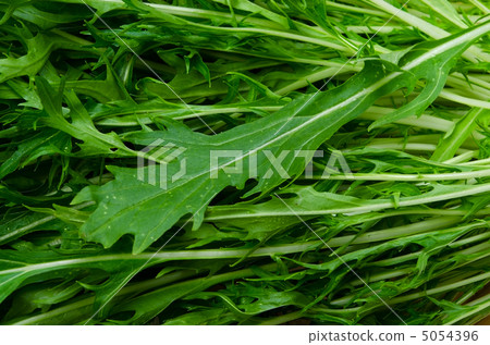 Mizuna Mizuna 5054396