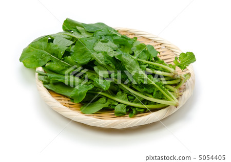 arugula  5054405