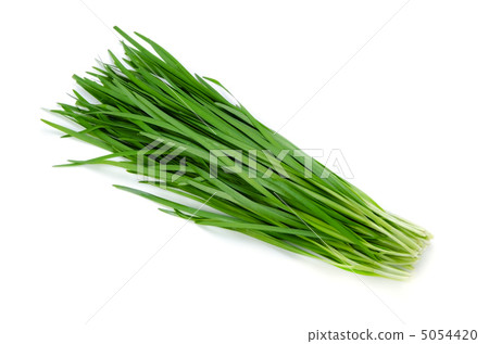 細香蔥 5054420