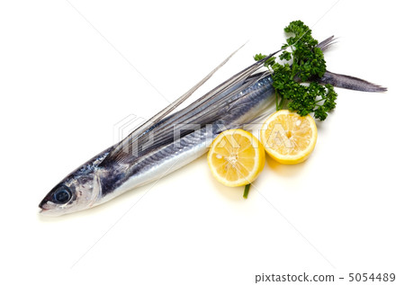 Hamato Biwa 5054489