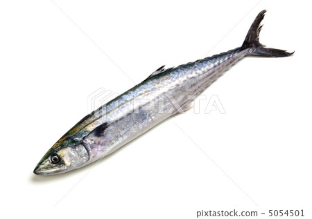 Sawara Stock Photo