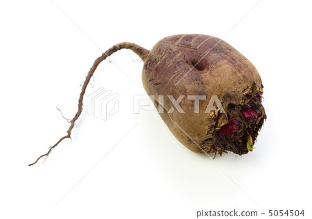 節拍 節拍 5054504