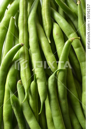 綠豆 5056257