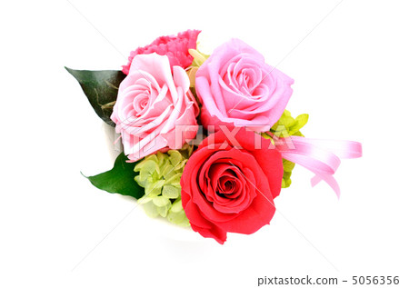 插花上升 插花上升 5056356