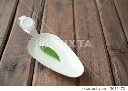 漂浮在琺瑯托盤上的發財樹葉花瓶 5056472