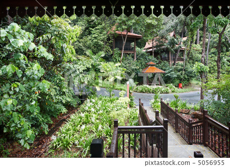 Health resort in green rainforest. 5056955