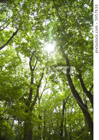 Fresh green tougo park 5057638