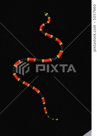 A snake A snake 5057660