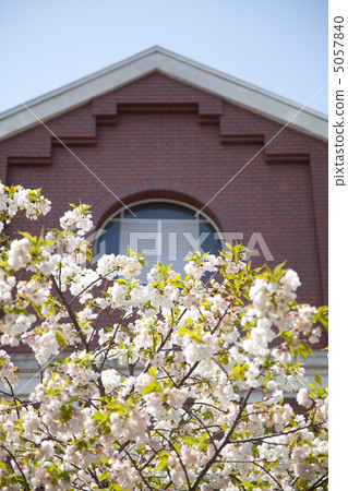 Cherry tree through the Mint Bureau Cherry tree through the Mint Bureau 5057840
