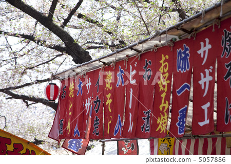 穿過街道 5057886