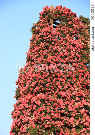 我仰望安吉拉塔 我仰望安吉拉塔 5058058