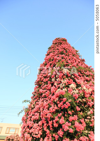 I look up to Angela Tower 5058063