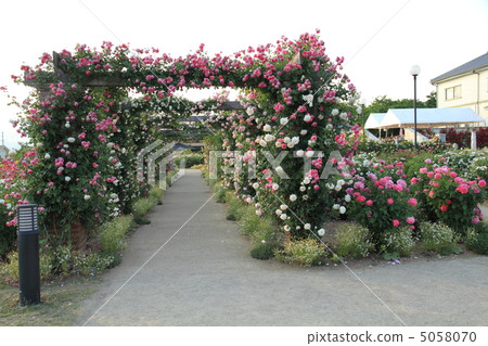 英格利斯花園的涼棚 英格利斯花園的涼棚 5058070