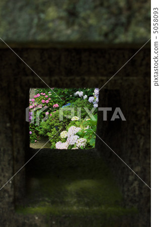 Hydrangea 4 of Yada Temple 4 Hydrangea 4 of Yada Temple 4 5058093