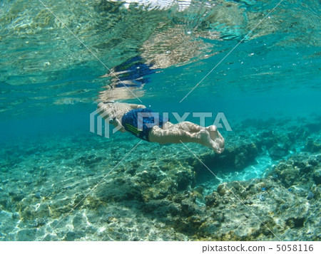 在清澈的海水中游泳♪ 在清澈的海水中游泳♪ 5058116