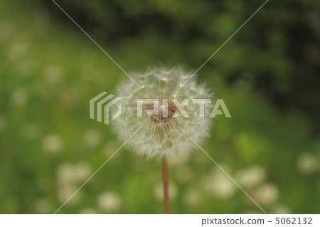 Warm weather 5062132