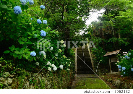 Himenji寺與繡球花盛開 5062182