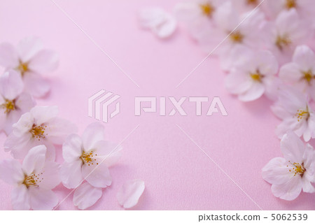 櫻花形象 櫻花形象 5062539