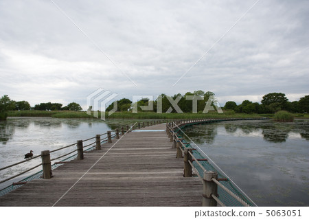 Wooden bridge Wooden bridge 5063051