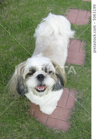 海洋動物園帶著微笑 5063199