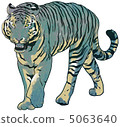 Dora   5063640