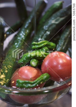 Summer vegetable Summer vegetable 5063788