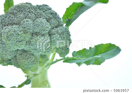 用葉子的西蘭花 用葉子的西蘭花 5063957