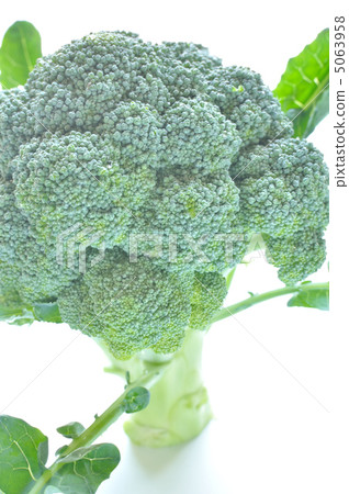 Broccoli with leaves 5063958