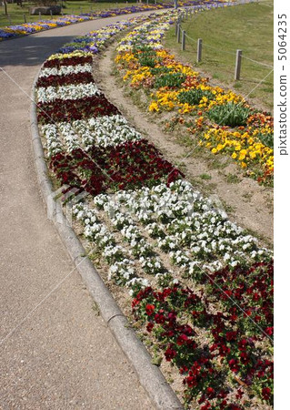公園的花壇 5064235