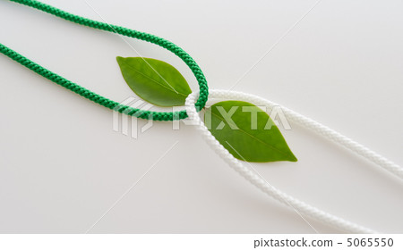 String and leaves (connecting ties) String and leaves (connecting ties) 5065550