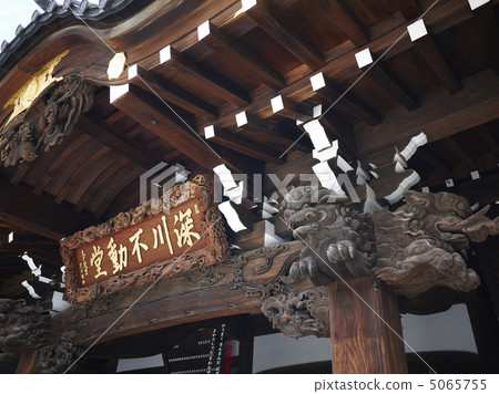 Shenzhen Fudo 5065755