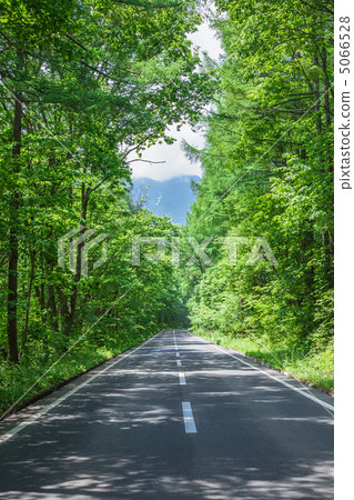 Tower of Tree Planting through the Sunlight 5066528