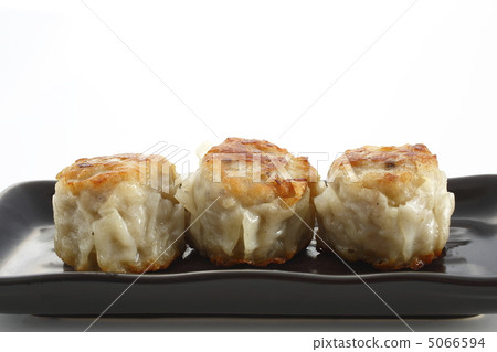 Chinese Steamed Dumplings Chinese Steamed Dumplings 5066594