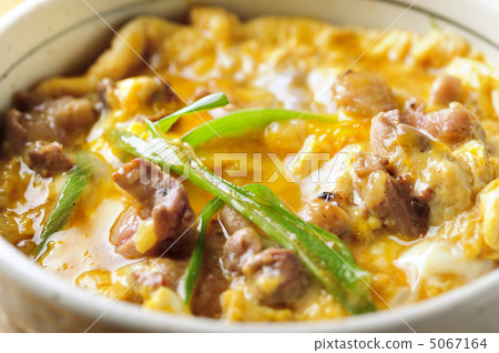 Oyakodon  5067164