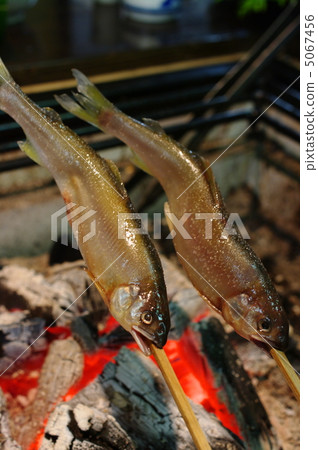 Salt-grilled salmon Salt-grilled salmon 5067456