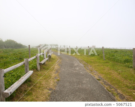 Akira Gogen Ayamegara 5067521