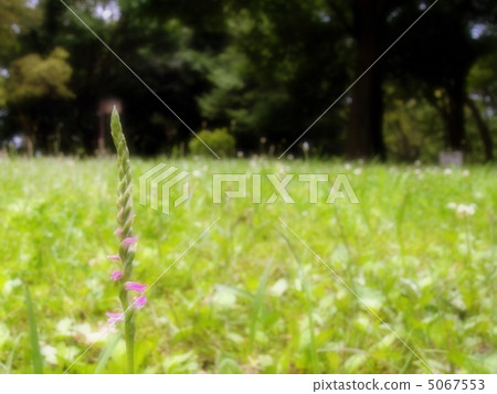 綟折 綟折 5067553