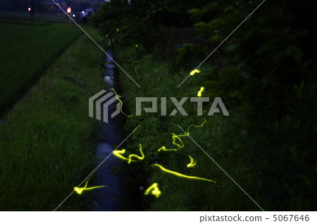 自然環境舞蹈 5067646