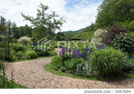 薰衣草的路徑 薰衣草的路徑 5067684