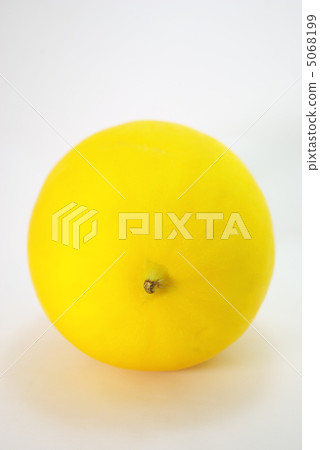 Yellow melon Yellow melon 5068199