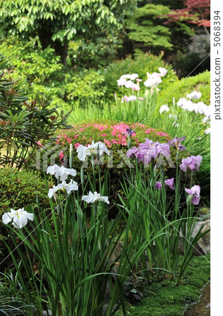 京都Kozanin花園 京都Kozanin花園 5068394
