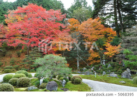 Kyoto Mandemu Autumn Garden 5068395