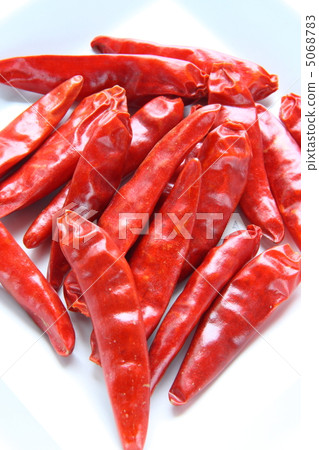 鷹釘 鷹釘 5068783