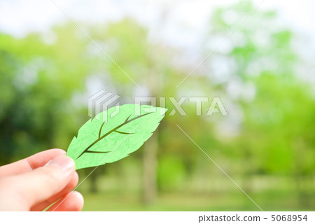 Cut paper leaves 5068954