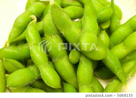 毛豆 5069135