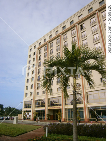 棕櫚樹和酒店 棕櫚樹和酒店 5069226